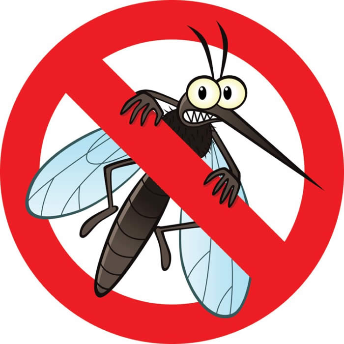 Biện pháp chống muỗi hiệu quả